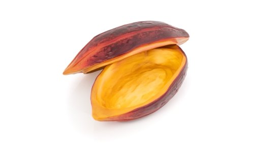 Serveringsfad, Cocoa Bean, 26 x 12 cm - 100% Chef