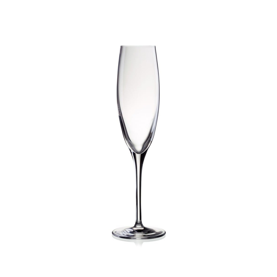 Champagneglas Penelope 17 cl i gruppen Bar & Vin / Vinglas / Champagneglas hos The Kitchen Lab (1069-11129)