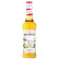 Monin Elderflower Syrup 70 cl Monin Elderflower Syrup 70 cl