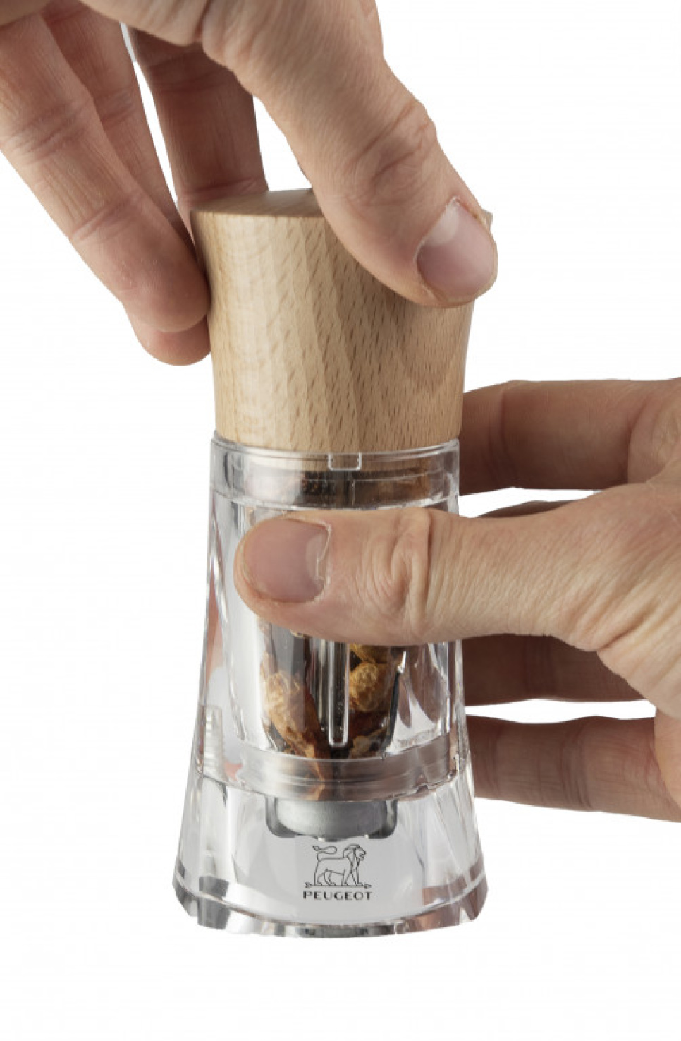 Chilikvern, 14 cm, Oléron - Peugeot