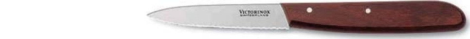 Skærekniv 8 cm, takket, træskaft i gruppen Madlavning / Køkkenknive / Skæreknive hos The Kitchen Lab (1095-12291)