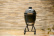 The Onyx Large - Big Green Egg