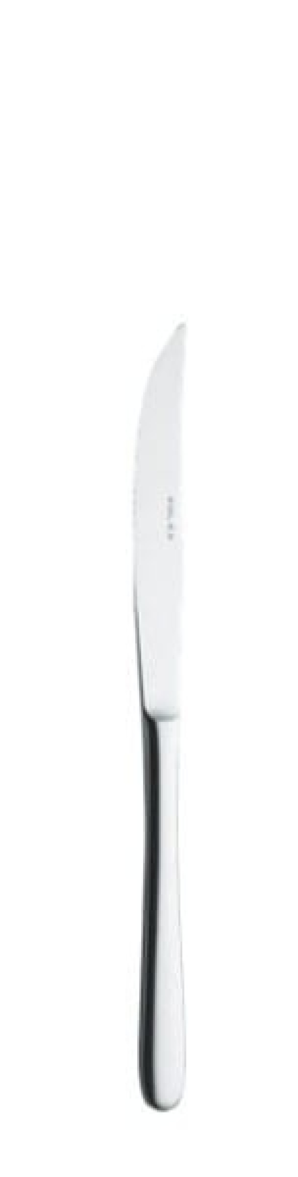 Anna Steak kniv, 216mm i gruppen Borddækning / Bestik / Knivar hos The Kitchen Lab (1284-14138)