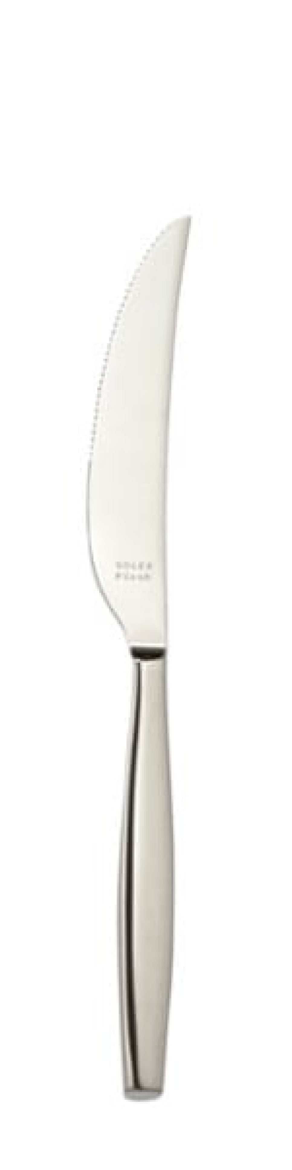 Laura Steak kniv 244 mm - Solex i gruppen Borddækning / Bestik / Knivar hos The Kitchen Lab (1284-21497)