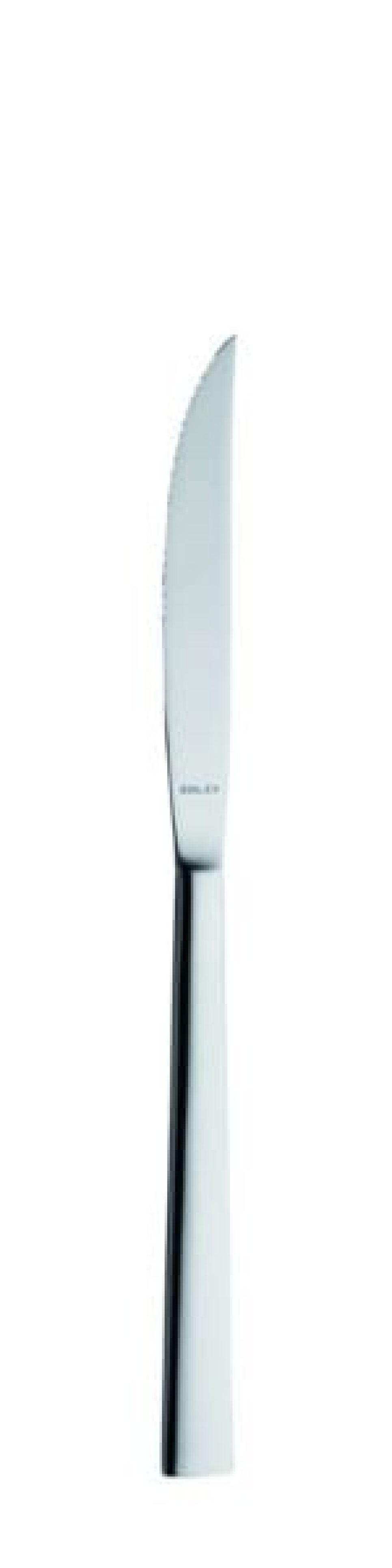 Helena Steak kniv 233 mm - Solex i gruppen Borddækning / Bestik / Knivar hos The Kitchen Lab (1284-21569)