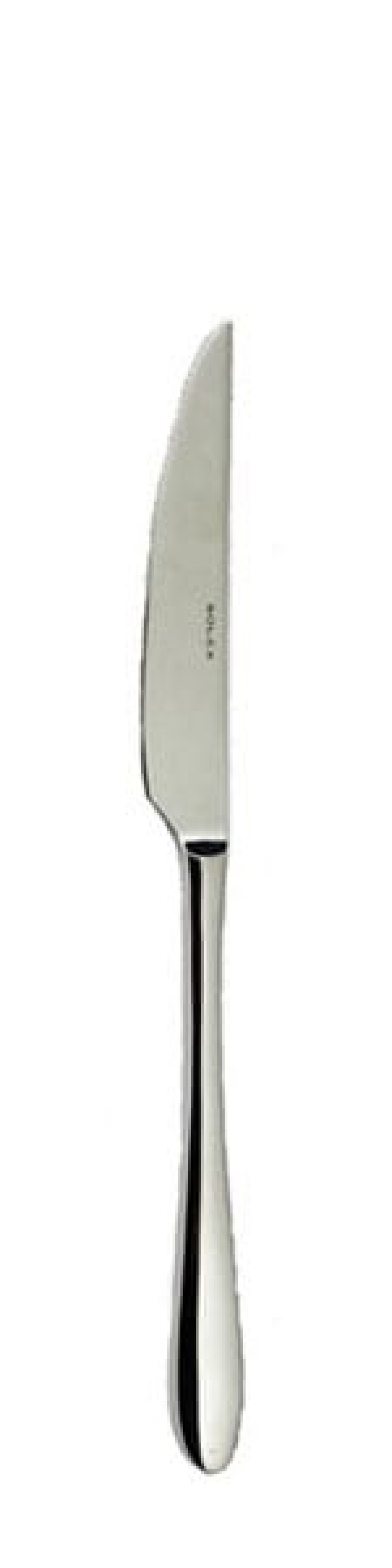 Sarah Steak kniv 238 mm - Solex i gruppen Borddækning / Bestik / Knivar hos The Kitchen Lab (1284-21607)
