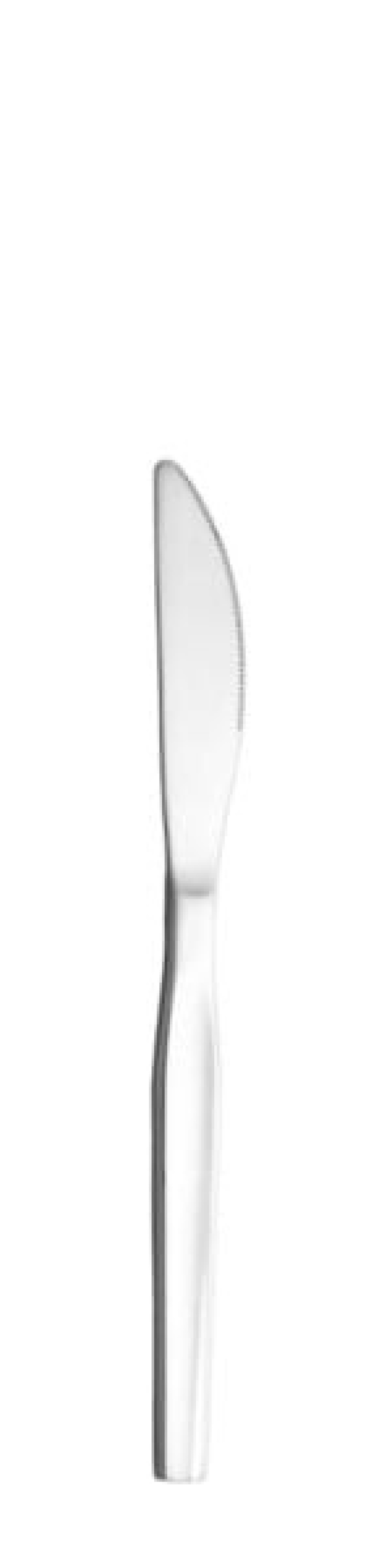 Skai Bordkniv 208 mm - Solex i gruppen Borddækning / Bestik / Knivar hos The Kitchen Lab (1284-21627)