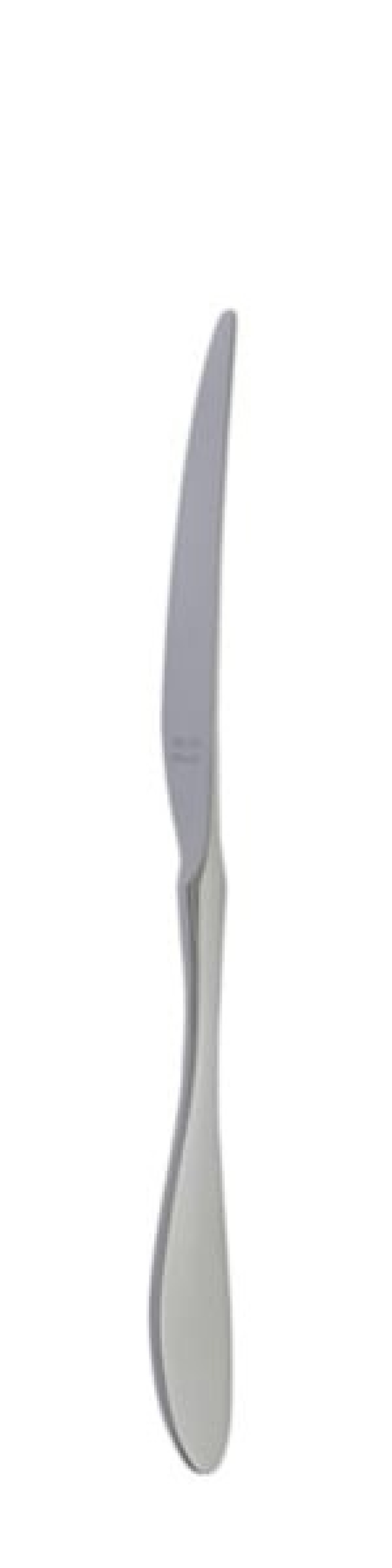 Terra Retro Bordkniv 239 mm - Solex i gruppen Borddækning / Bestik / Knivar hos The Kitchen Lab (1284-21659)