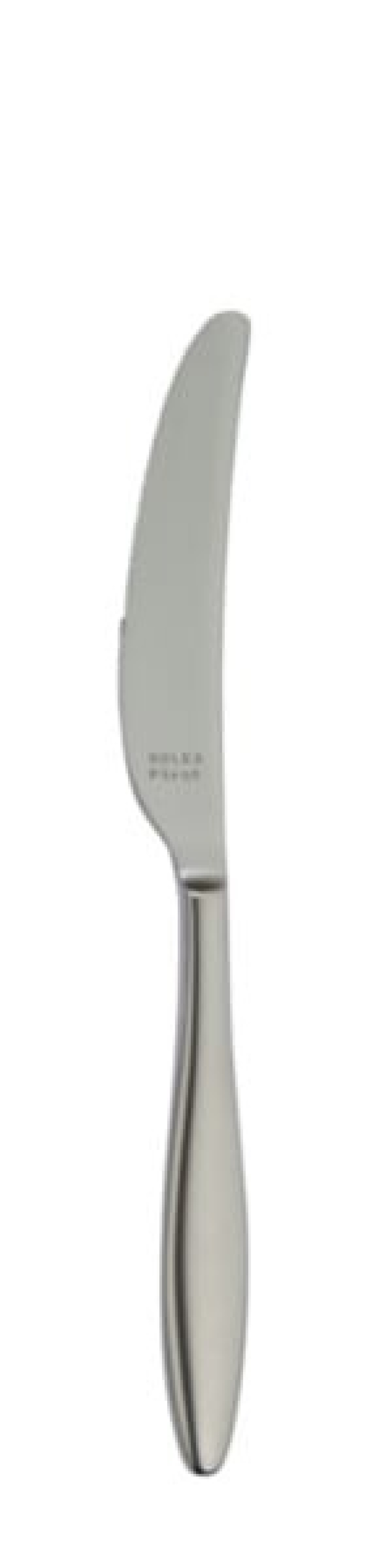 Terra Retro Bordkniv 240 mm - Solex i gruppen Borddækning / Bestik / Knivar hos The Kitchen Lab (1284-21661)