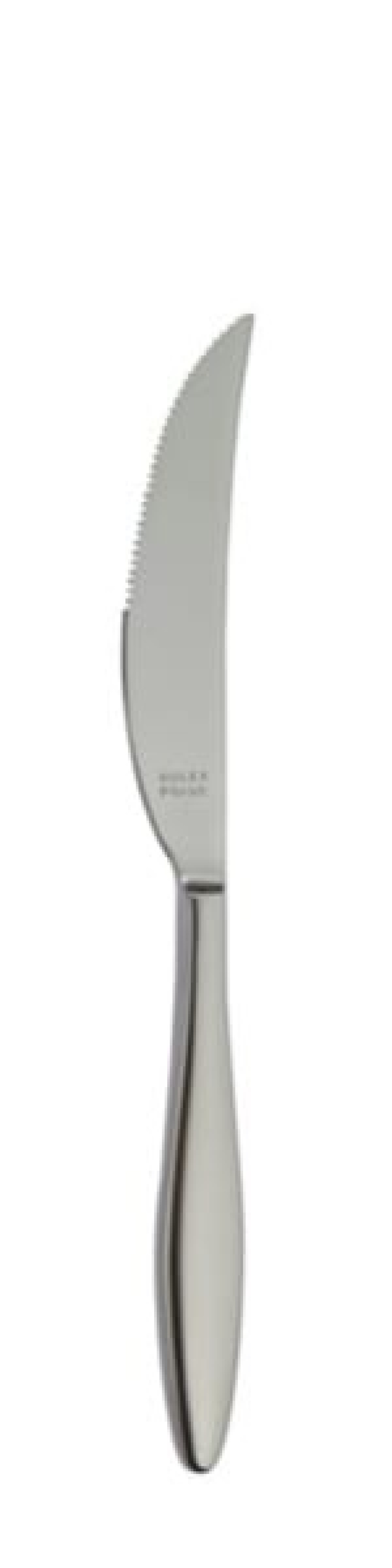 Terra Retro Steak kniv 239 mm - Solex i gruppen Borddækning / Bestik / Knivar hos The Kitchen Lab (1284-21663)