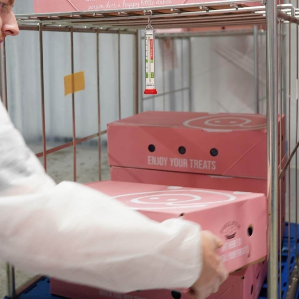 Køle- og frysetermometre - ETI Køle- og frysetermometre - ETI