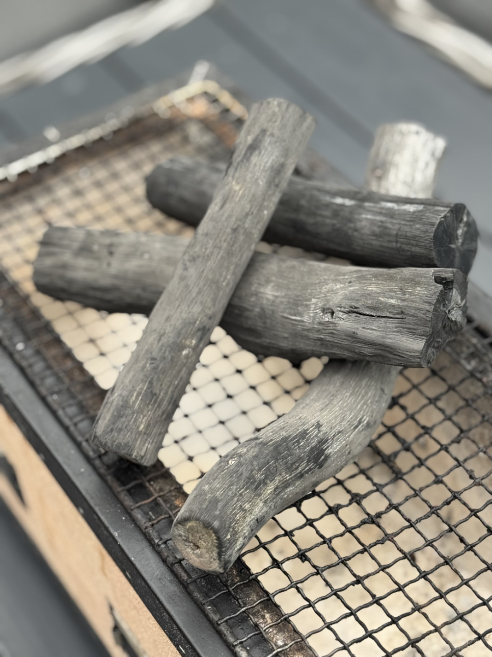 Konro Professional Large + Kishu-Binchōtan