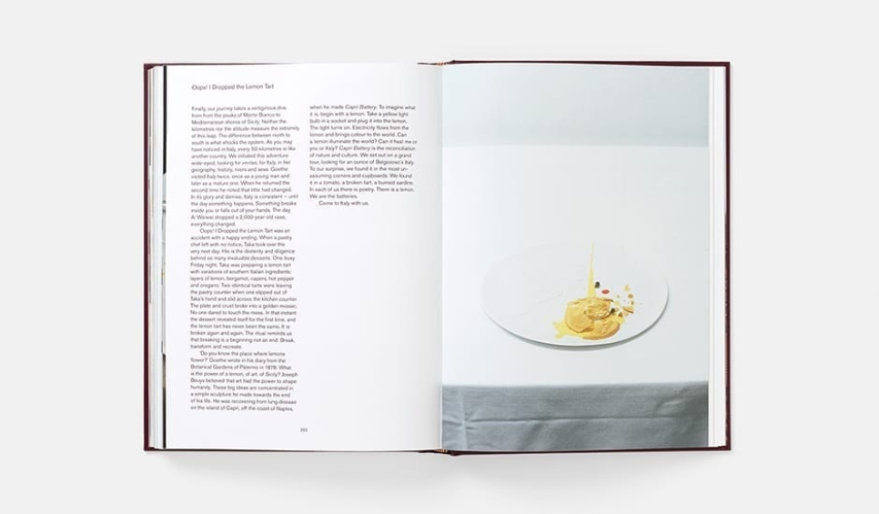 Never Trust a Skinny Italian Chef av Massimo Bottura