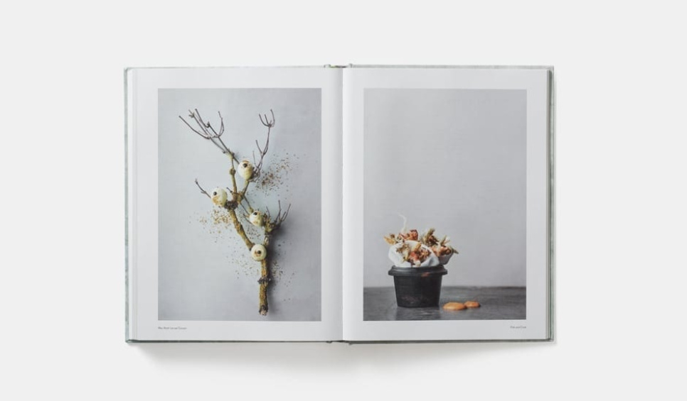 On Eating Insects - Essays, Stories and Recipes On Eating Insects - Essays, Stories and Recipes