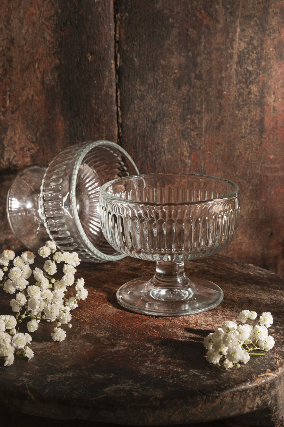 Dessert bowl Tahiti 6 pieces - La Rochère