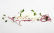 Carrageenan Kappa (E407) - The Kitchen Lab Carrageenan Kappa (E407) - The Kitchen Lab