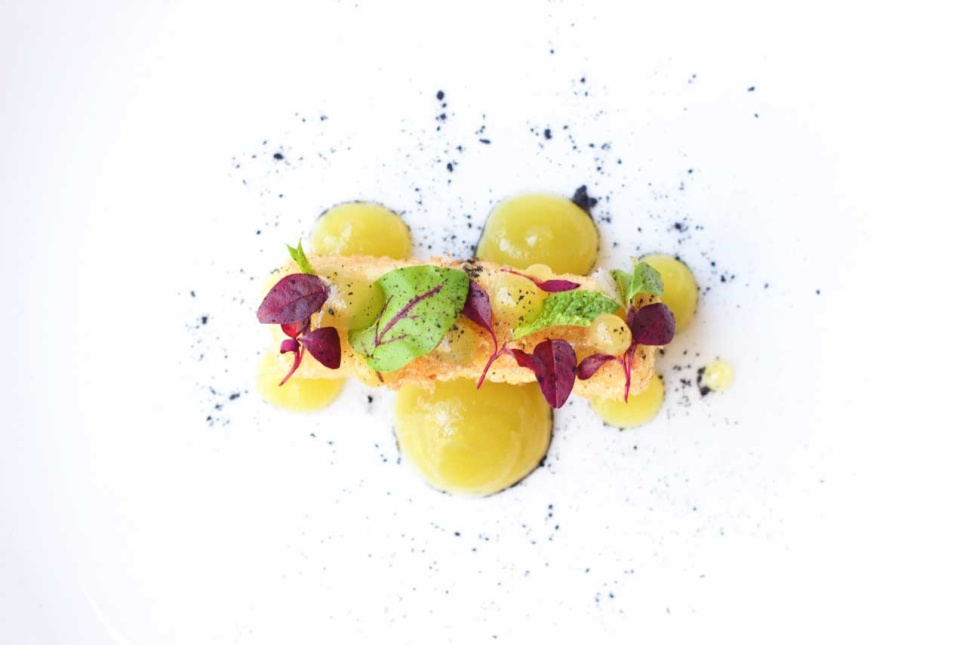 Agar Agar (E406) - The Kitchen Lab