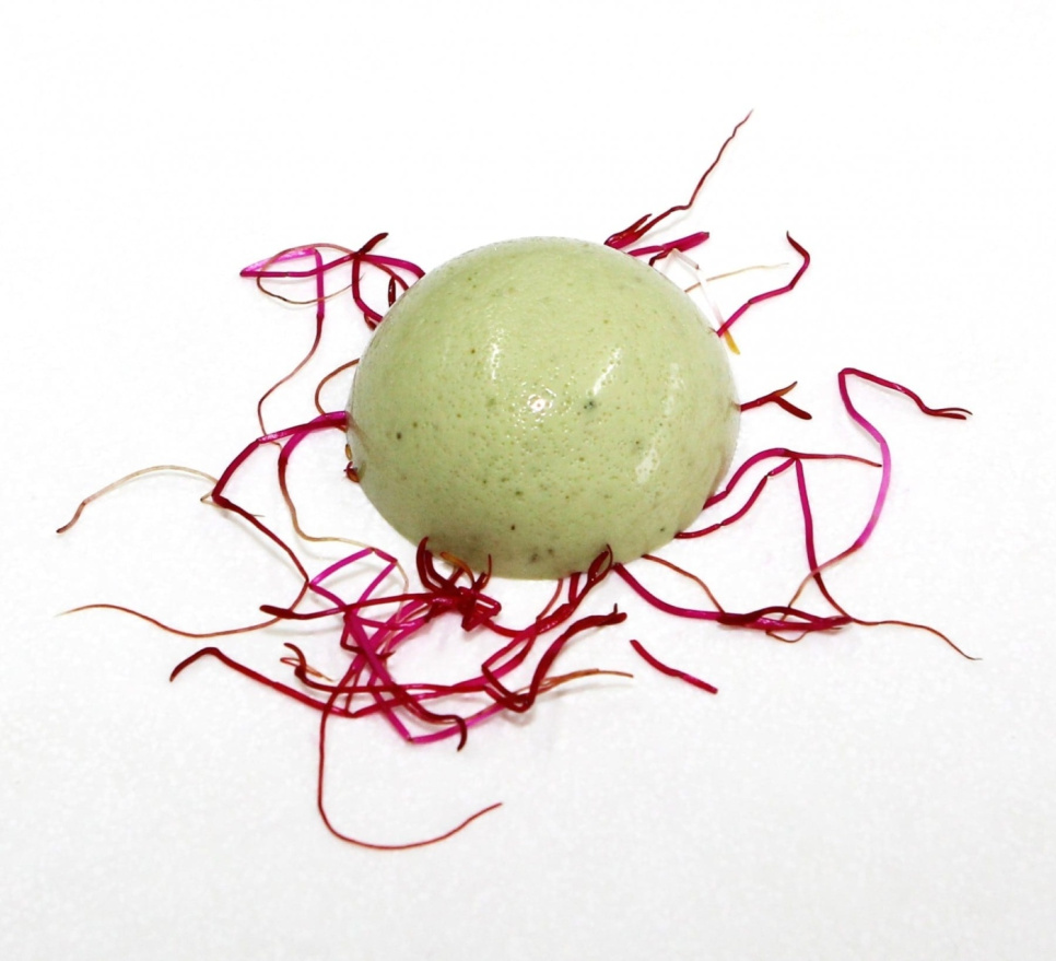 Moderne geleringsmidler, ingredienssæt - The Kitchen Lab