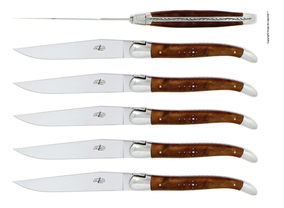 Sæt med 6 spiseknive, tuja håndtag i gruppen Borddækning / Bestik / Knivar hos The Kitchen Lab (1446-13141)