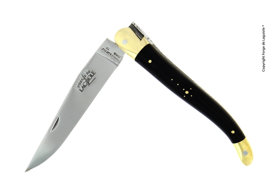 Spisekniv med foldeblad - sort horn - Forge de Laguiole i gruppen Borddækning / Bestik / Knivar hos The Kitchen Lab (1446-24427)