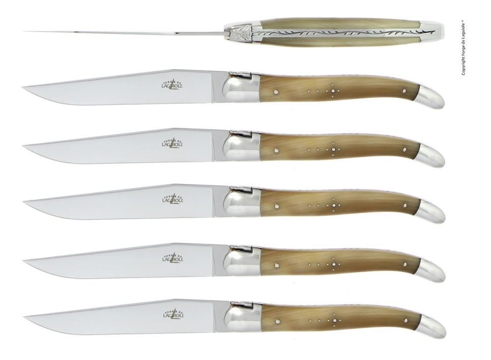 Seks knive, håndtag af lyst horn, poleret, Tradition - Forge de Laguiole i gruppen Borddækning / Bestik / Knivar hos The Kitchen Lab (1446-32913)