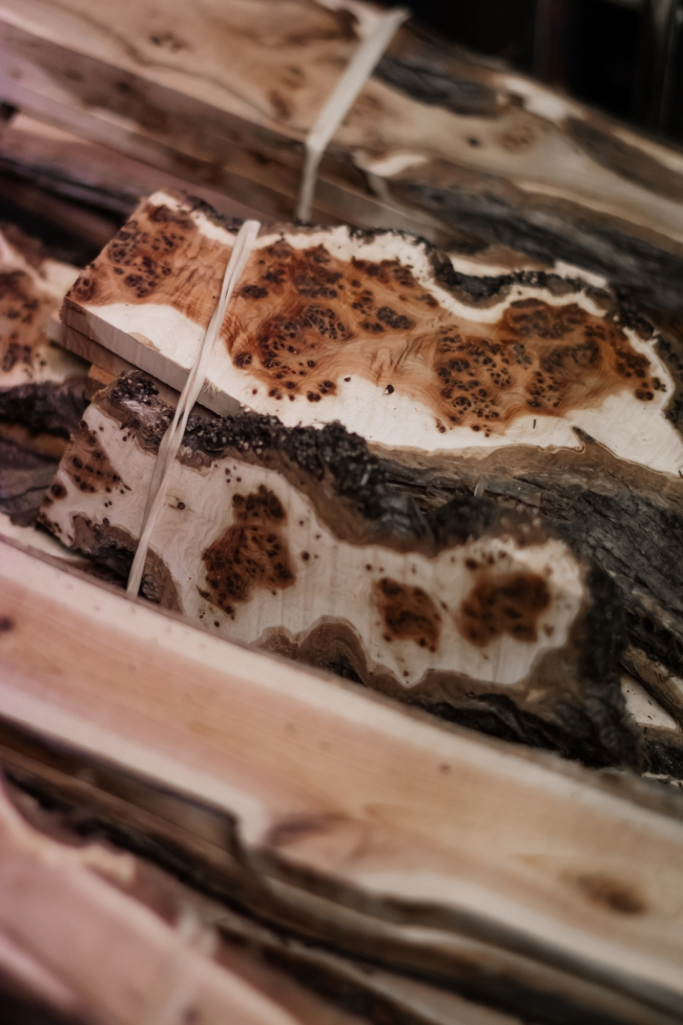 Sommelierkniv af forstenet egebark, damasceneret med dekoration, Collection - Forge de Laguiole