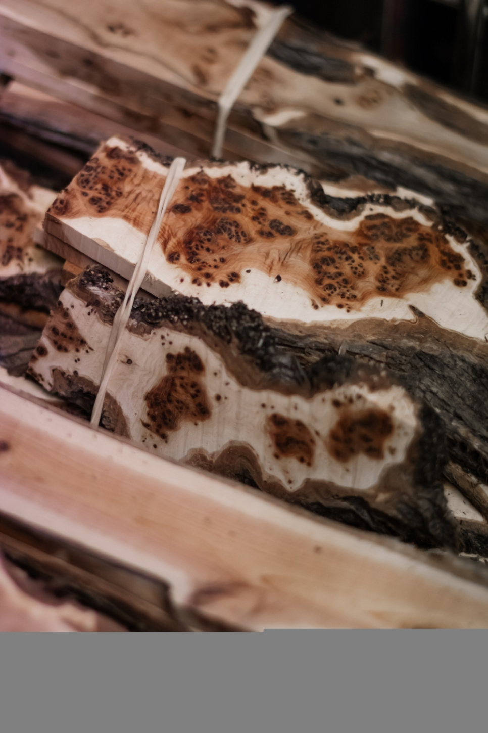 Sommelierkniv i træ fra Vines, damasceneret med dekoration, Collection - Forge de Laguiole