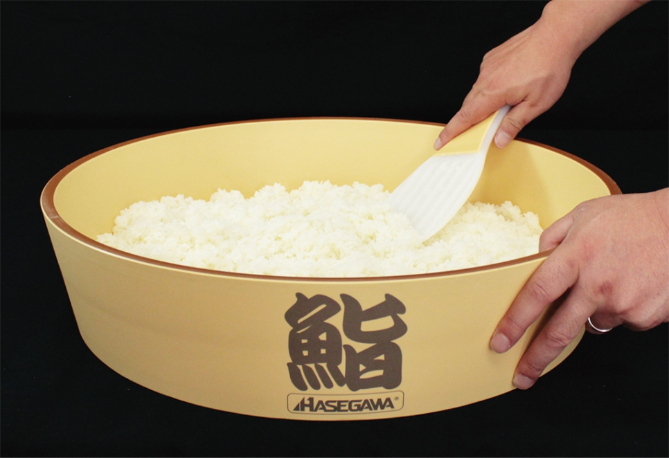 Risske - Hasegawa