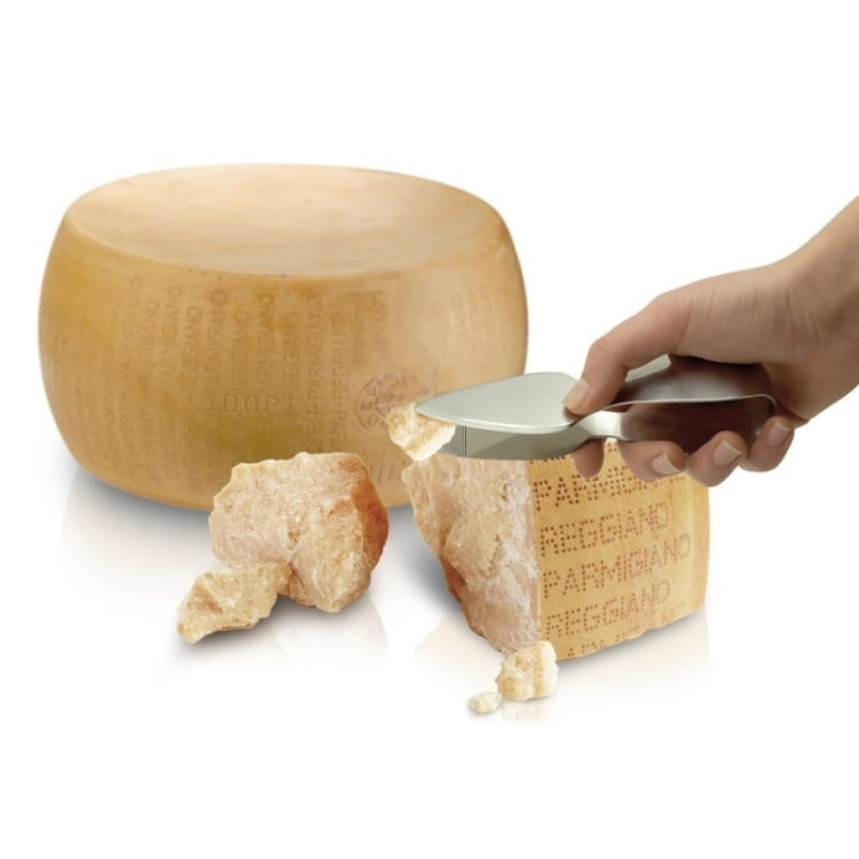 Parmesan kniv/tang - I GENIETTI