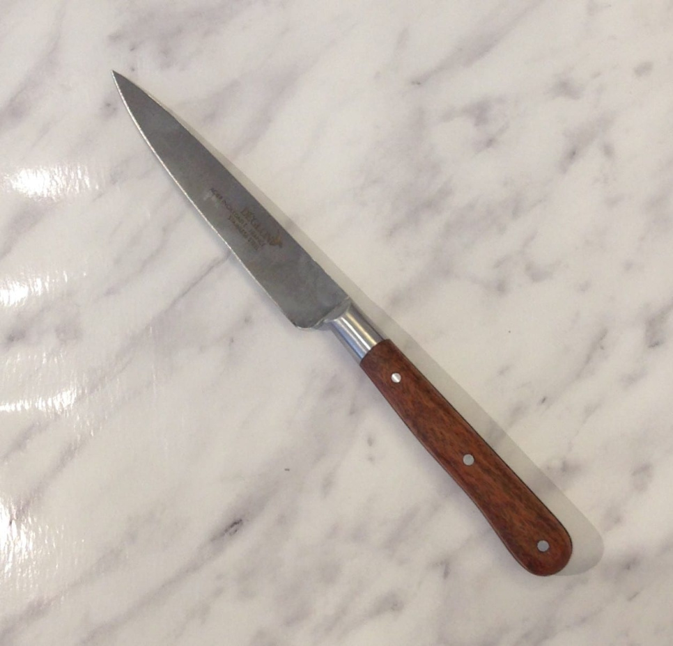 Bøfkniv/All-purpose kniv 10 cm - Déglon i gruppen Madlavning / Køkkenknive / Knive til alle formål hos The Kitchen Lab (1525-14224)