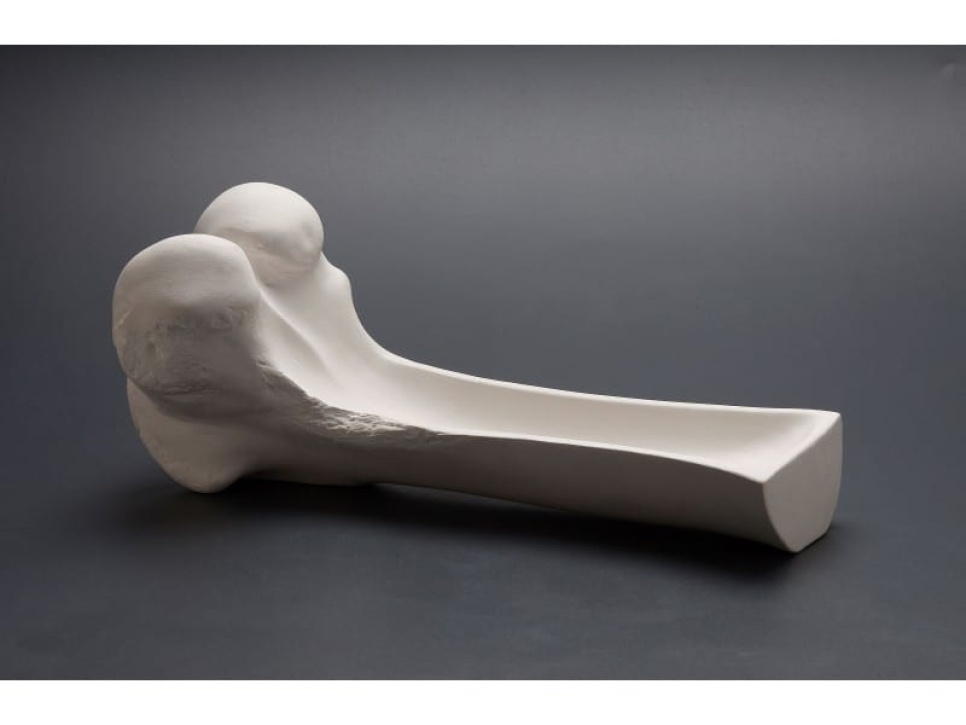 Lårben i porcelæn - 100% Chef