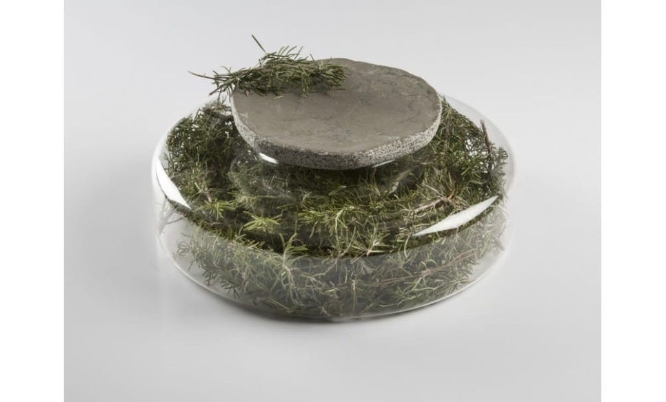 Advance Scene, serveringsfad i borosilikatglas - 100% Chef Advance Scene, serveringsfad i borosilikatglas - 100% Chef