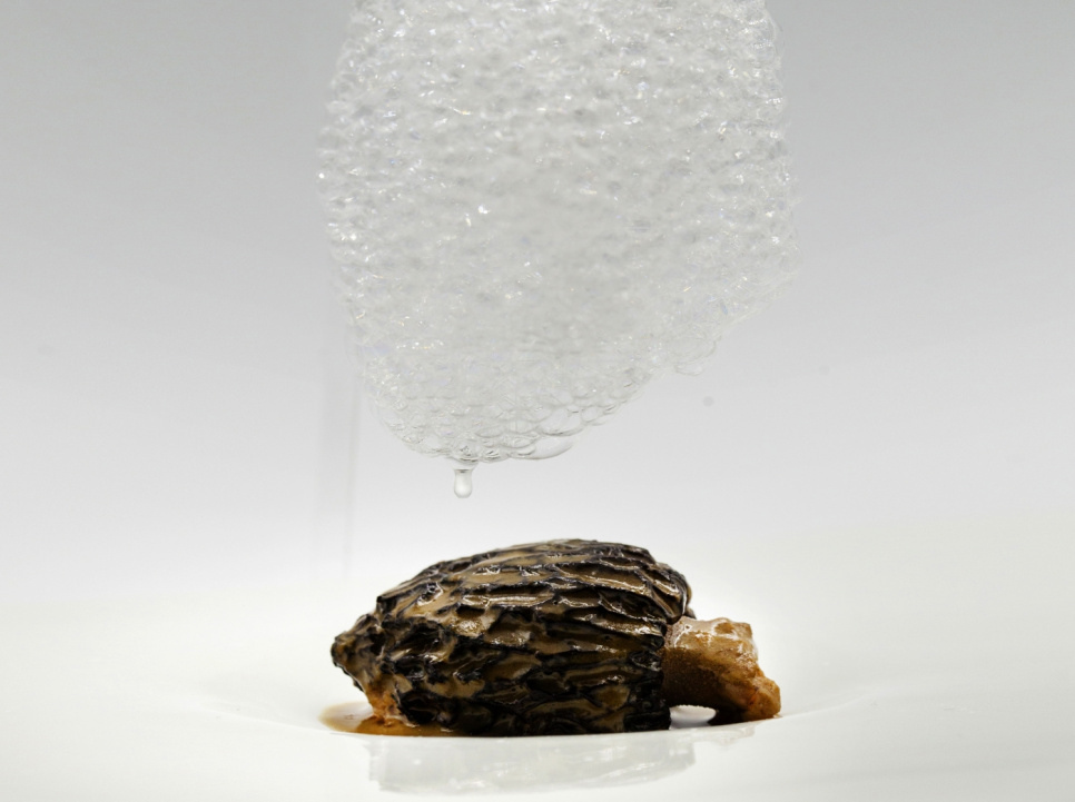 Startsæt VOM - 100% Chef