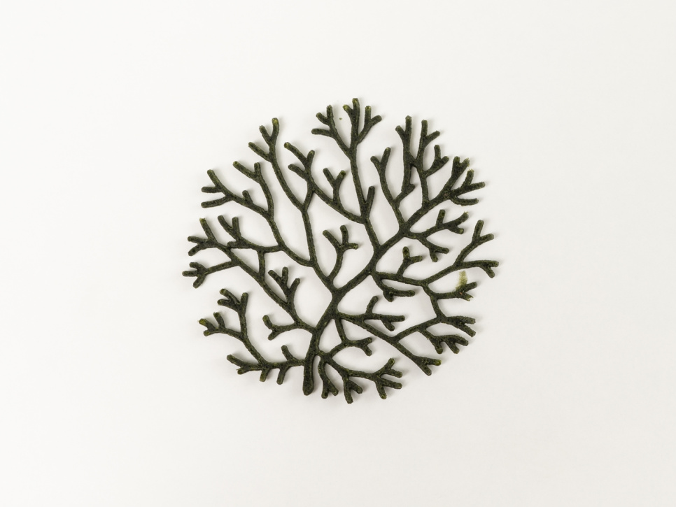 Silikoneform til Tuille, Alg - 100% Chef Silikoneform til Tuille, Alg - 100% Chef