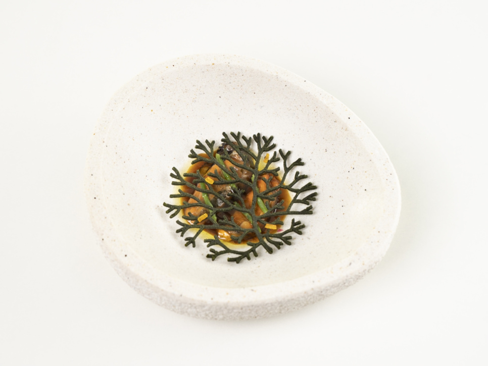 Silikoneform til Tuille, Alg - 100% Chef Silikoneform til Tuille, Alg - 100% Chef