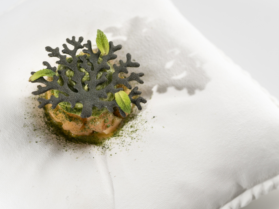 Silikoneform til Tuille, Coral - 100% Chef