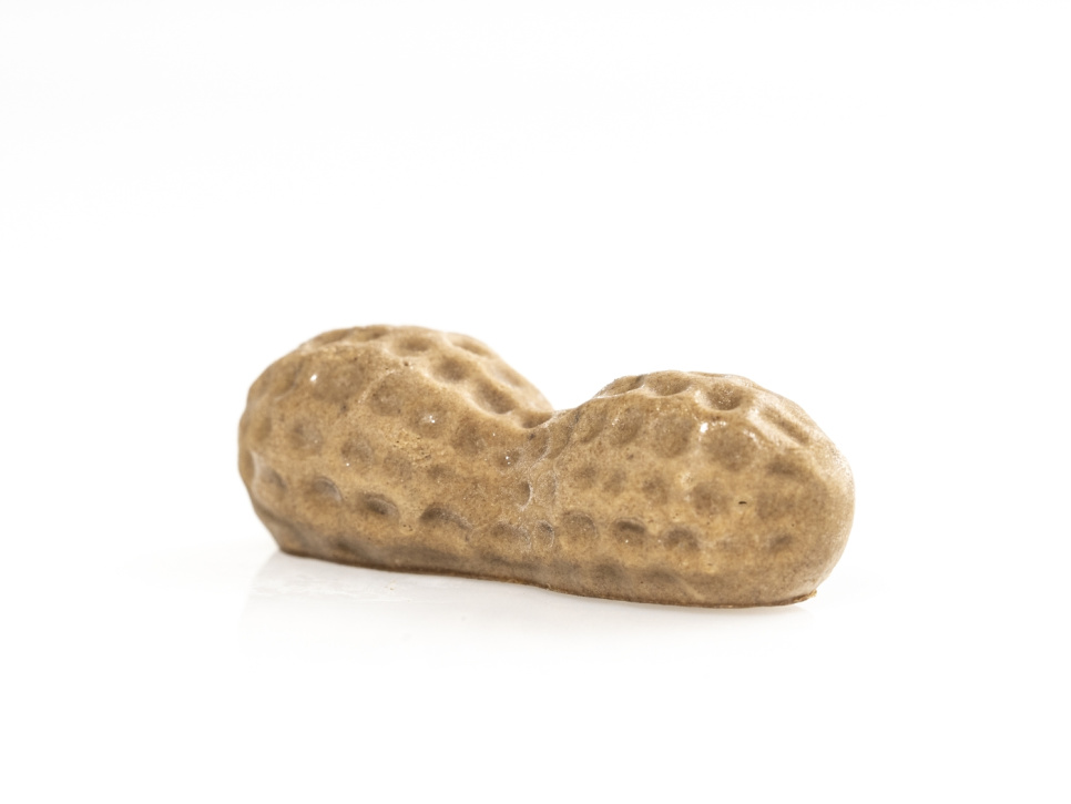 Silikoneform til dekoration, Peanut - 100% Chef