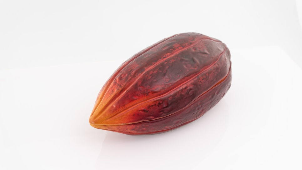 Serveringsfad, Cocoa Bean, 26 x 12 cm - 100% Chef Serveringsfad, Cocoa Bean, 26 x 12 cm - 100% Chef