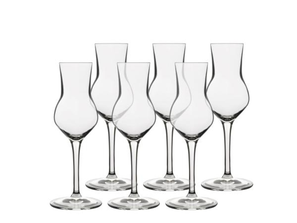Grappaglas, Atelier, 8 cl, 6-pak - Luigi Bormioli i gruppen Borddækning / Glas / Cognacglas hos The Kitchen Lab (1544-30949)