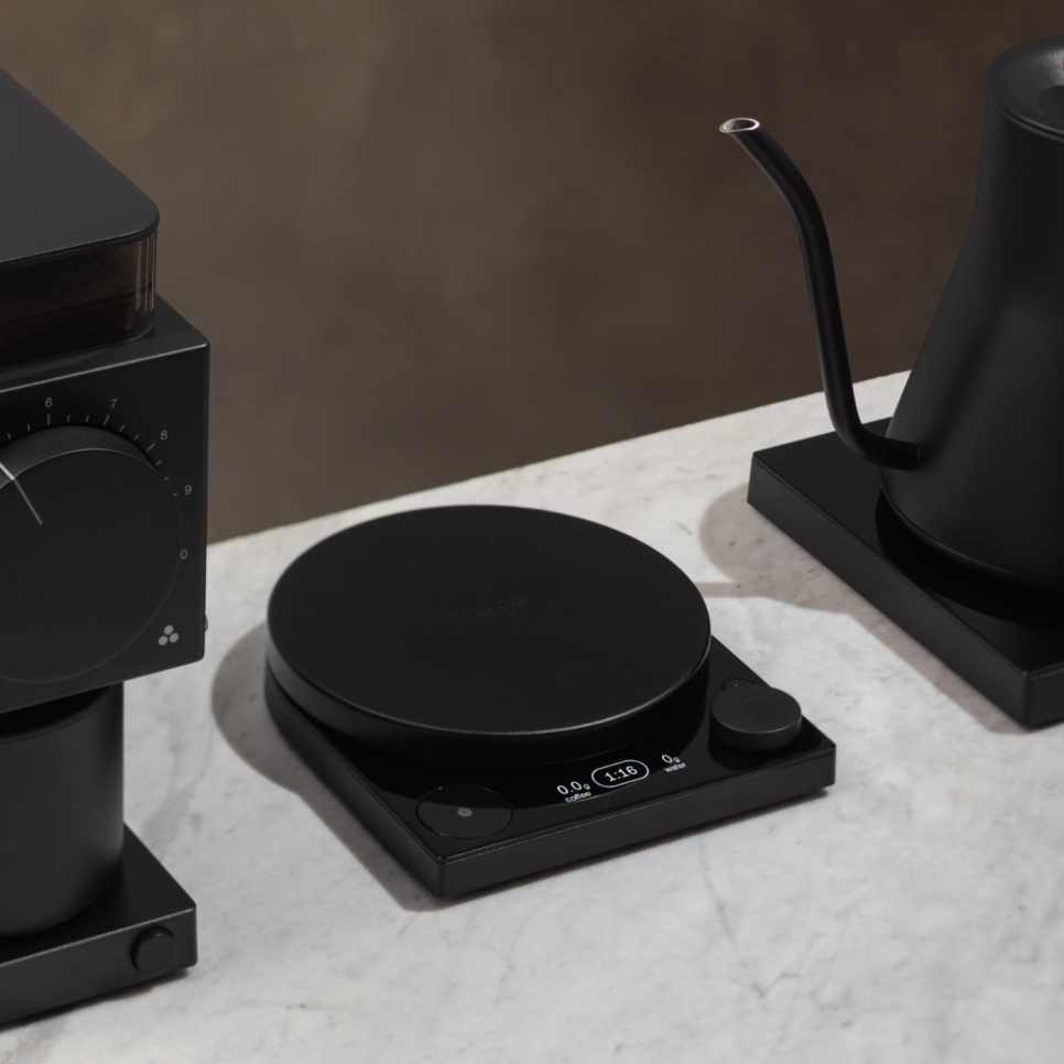 Kaffevåg, Tally Scale Pro Studio - stipendiat