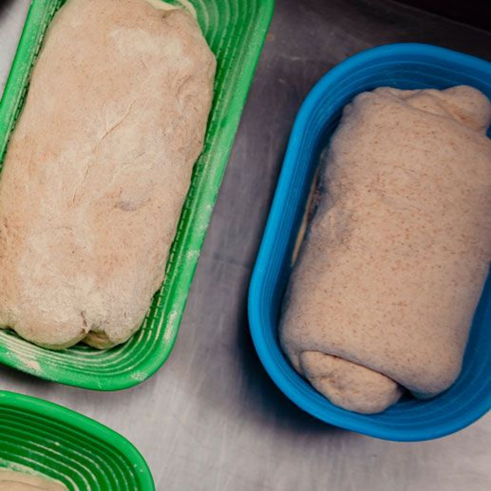 Gærkurv, rektangulær forskellige størrelser - Martellato Gærkurv, rektangulær forskellige størrelser - Martellato