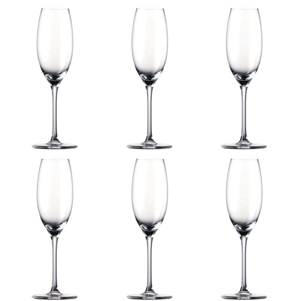 Champagnefløjte, Thomas DiVino, 6 stk i gruppen Bar & Vin / Vinglas / Champagneglas hos The Kitchen Lab (1798-12739)