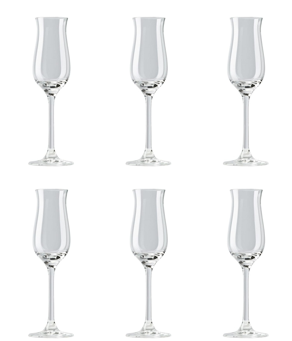 Grappa glas, Thomas DiVino, 6 stk i gruppen Borddækning / Glas / Cognacglas hos The Kitchen Lab (1798-14854)