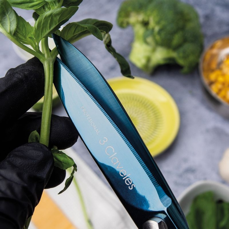 Køkkensaks, Ocean - 3 Claveles