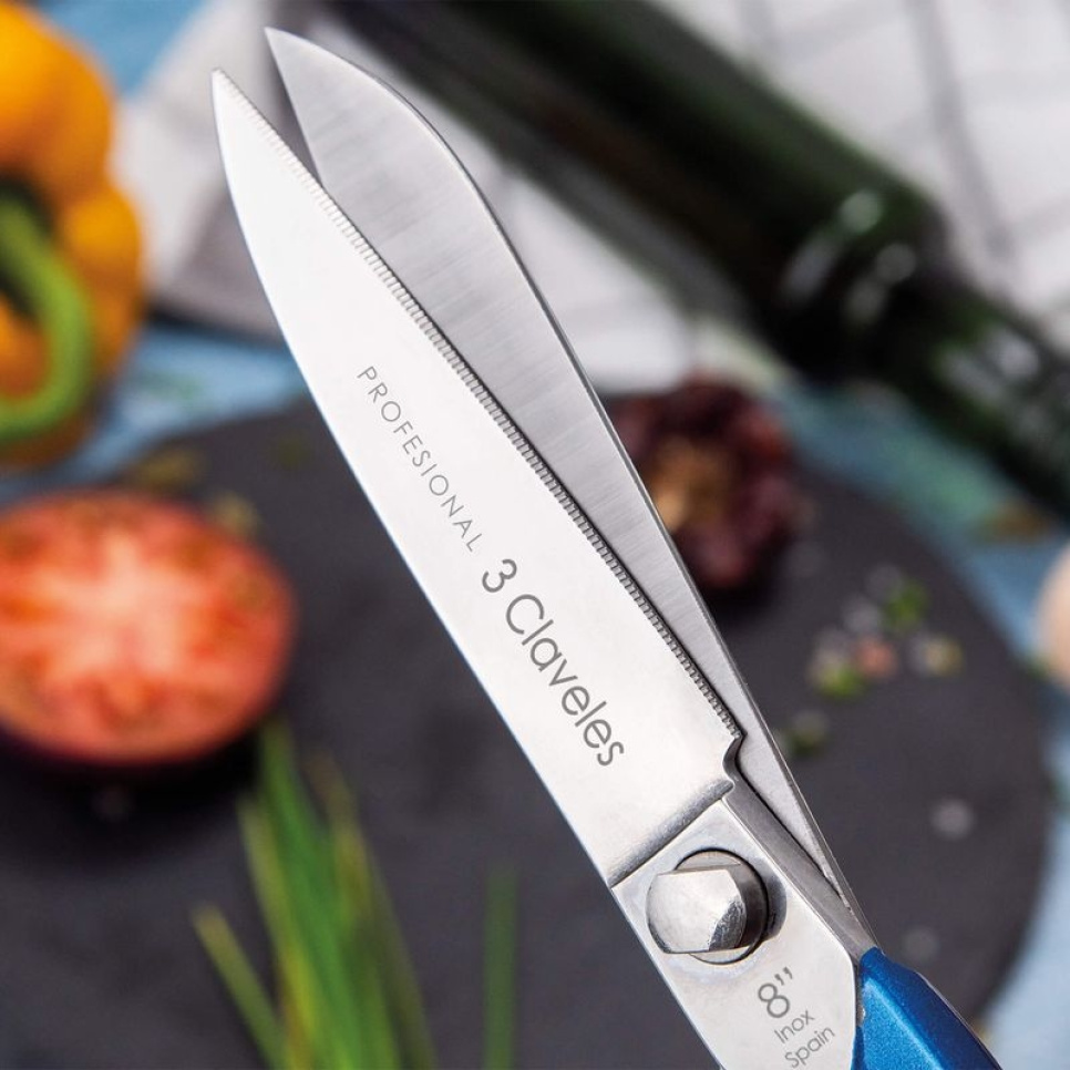 Professionel køkkensaks i rustfrit stål, Blå - 3 Claveles