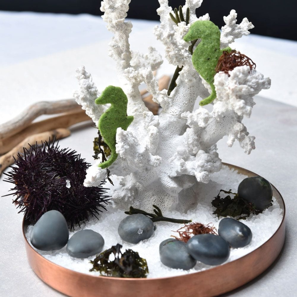 Silikoneform, Stone, Gourmand – Pavoni Silikoneform, Stone, Gourmand – Pavoni