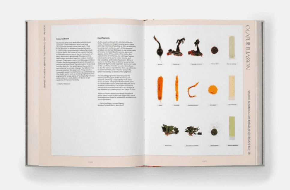 The Kitchen Studio - Culinary Creations by Artists