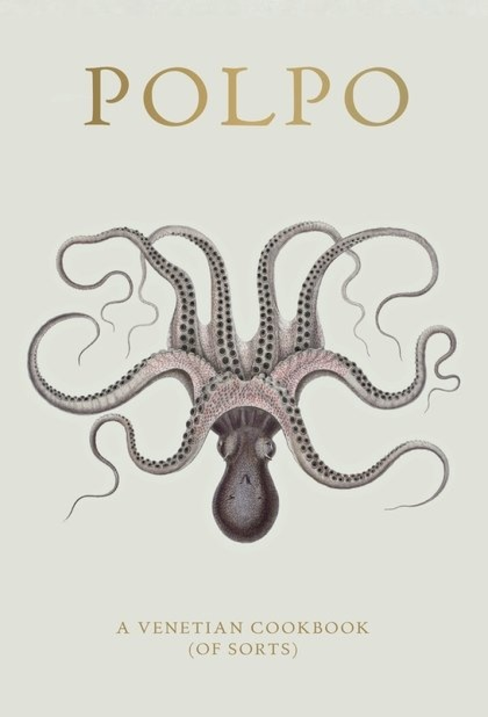 Polpo, A Venetian Cookbook (Of Sorts) - Russel Norman i gruppen Madlavning / Kogebøger / Nationale & regionale køkkener / Europa hos The Kitchen Lab (1987-26127)