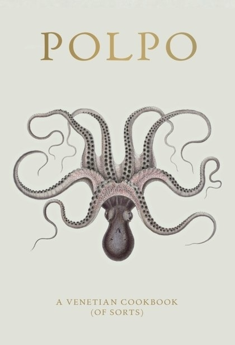 Polpo, A Venetian Cookbook (Of Sorts) - Russel Norman i gruppen Madlavning / Kogebøger / Køkkener & Kulturer / Italien hos The Kitchen Lab (1987-26127)