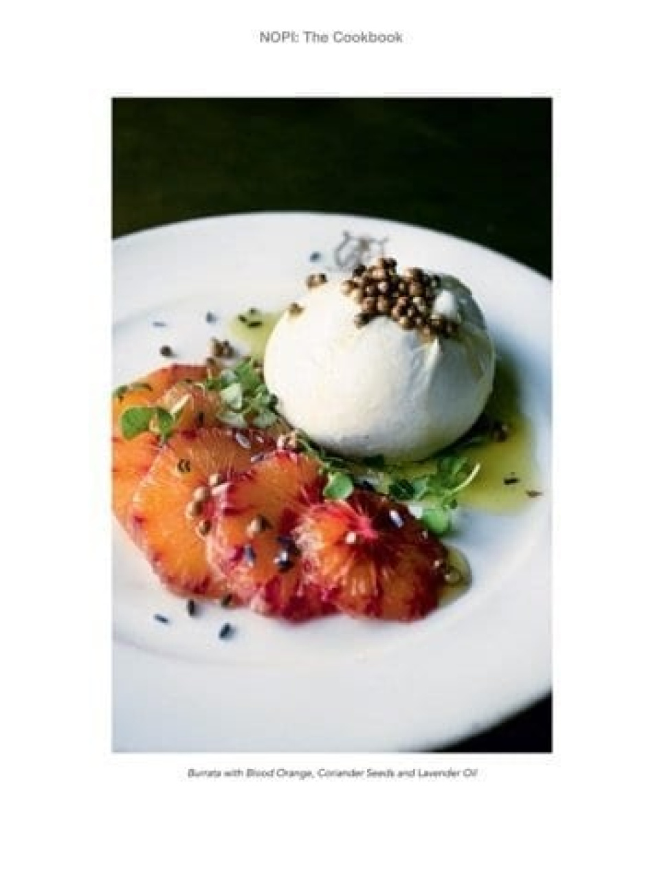 Nopi - Yotam Ottolenghi, Ramael Scully Nopi - Yotam Ottolenghi, Ramael Scully